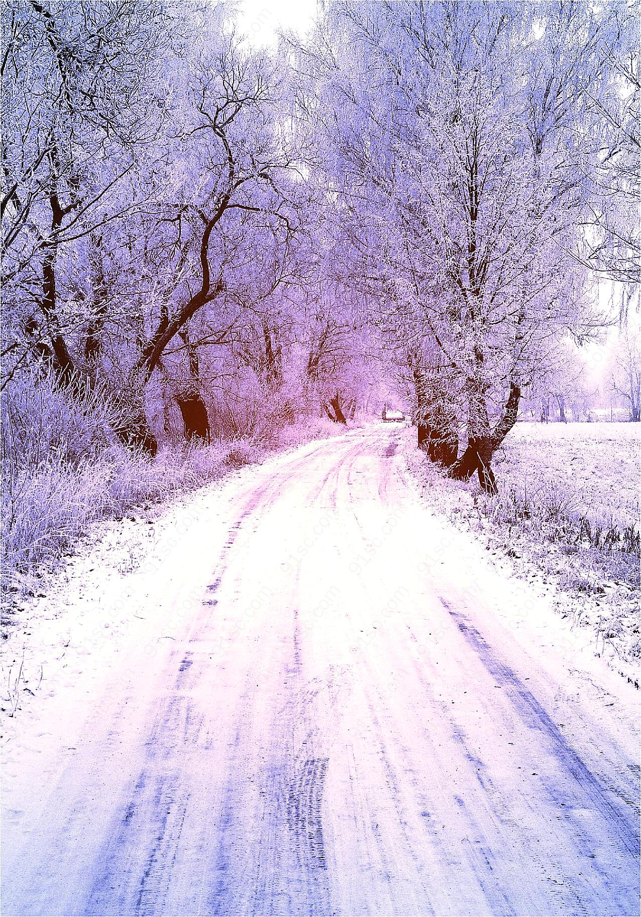 雪中的小路图片下载自然风景