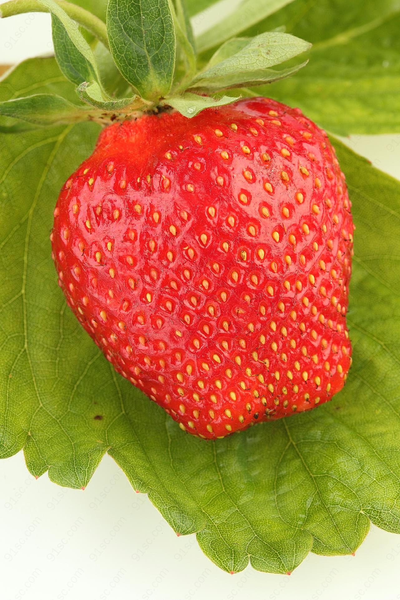 高清草莓素材图片下载生物