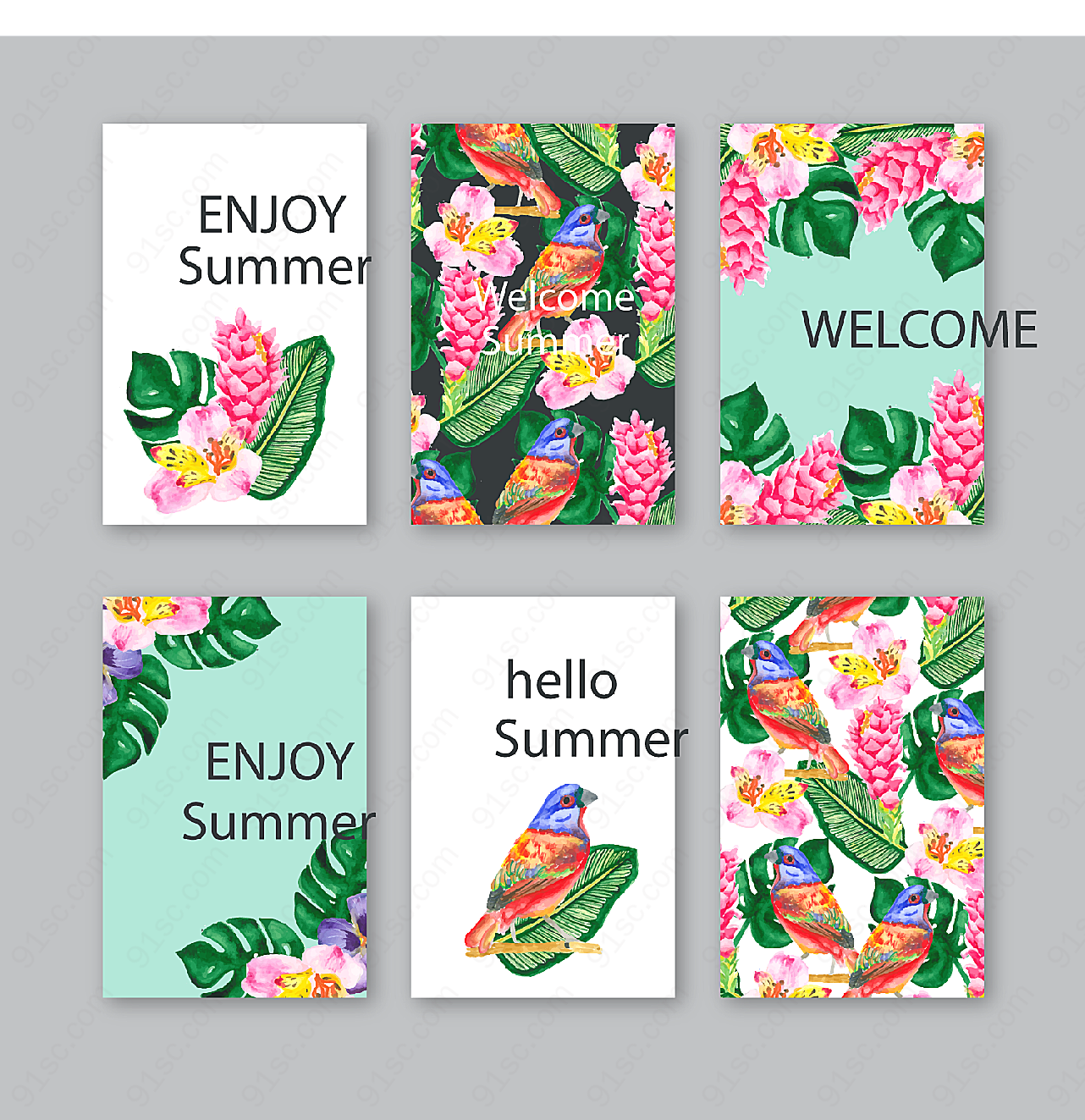 夏季热带花草卡片矢量名片卡片