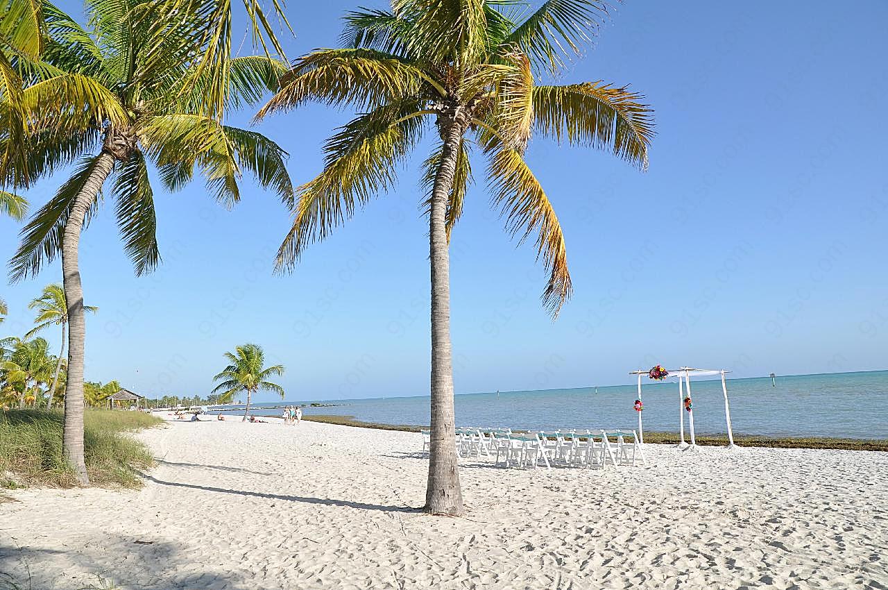 海边沙滩椰子树图片摄影高清