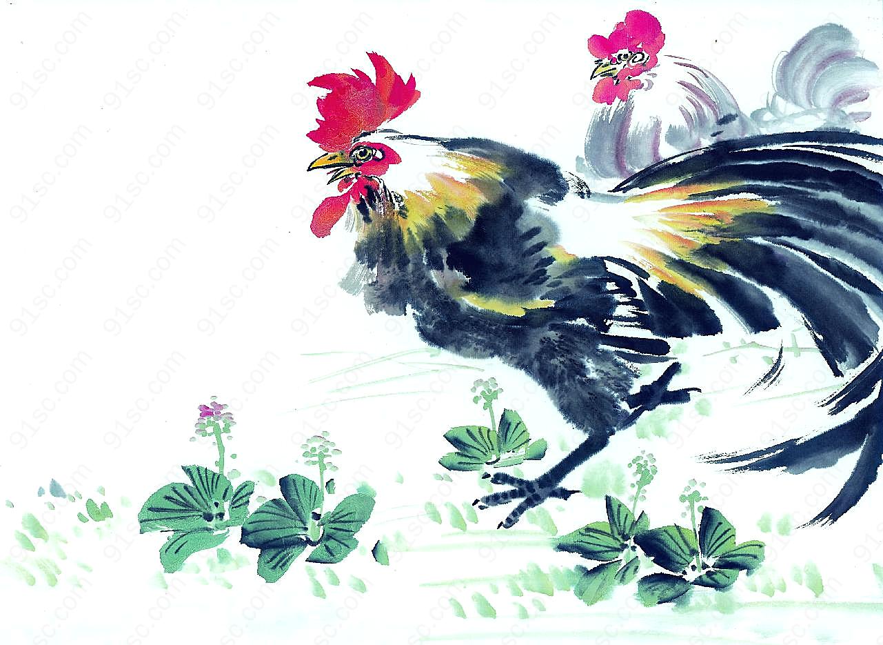 水彩画鸡年的图片新年图片