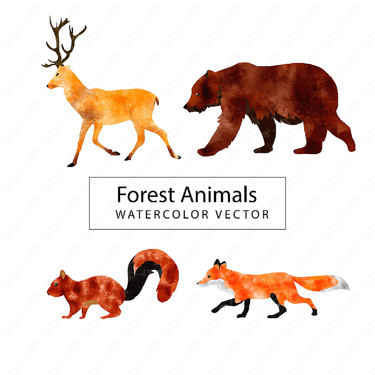 水彩绘森林动物矢量野生动物