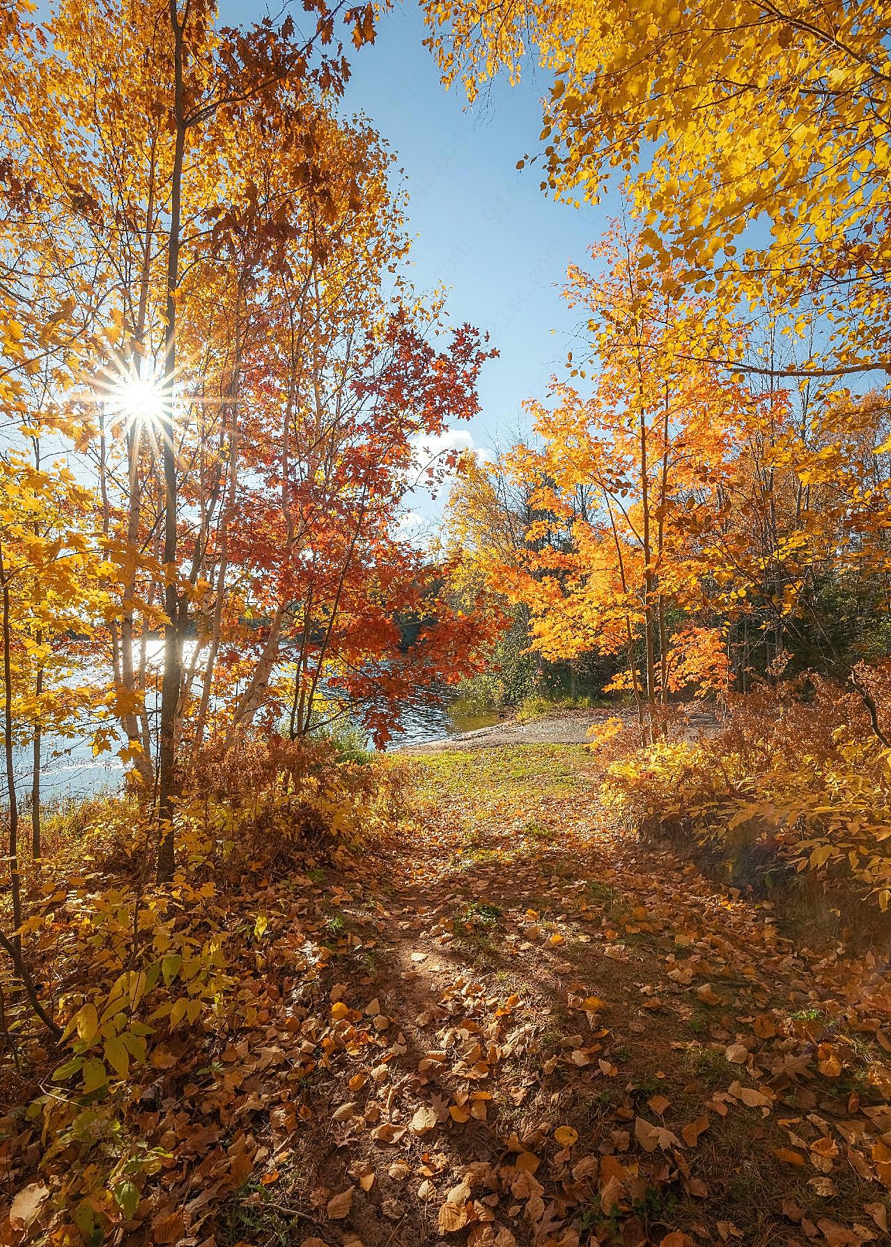 关于秋天的图片自然风景