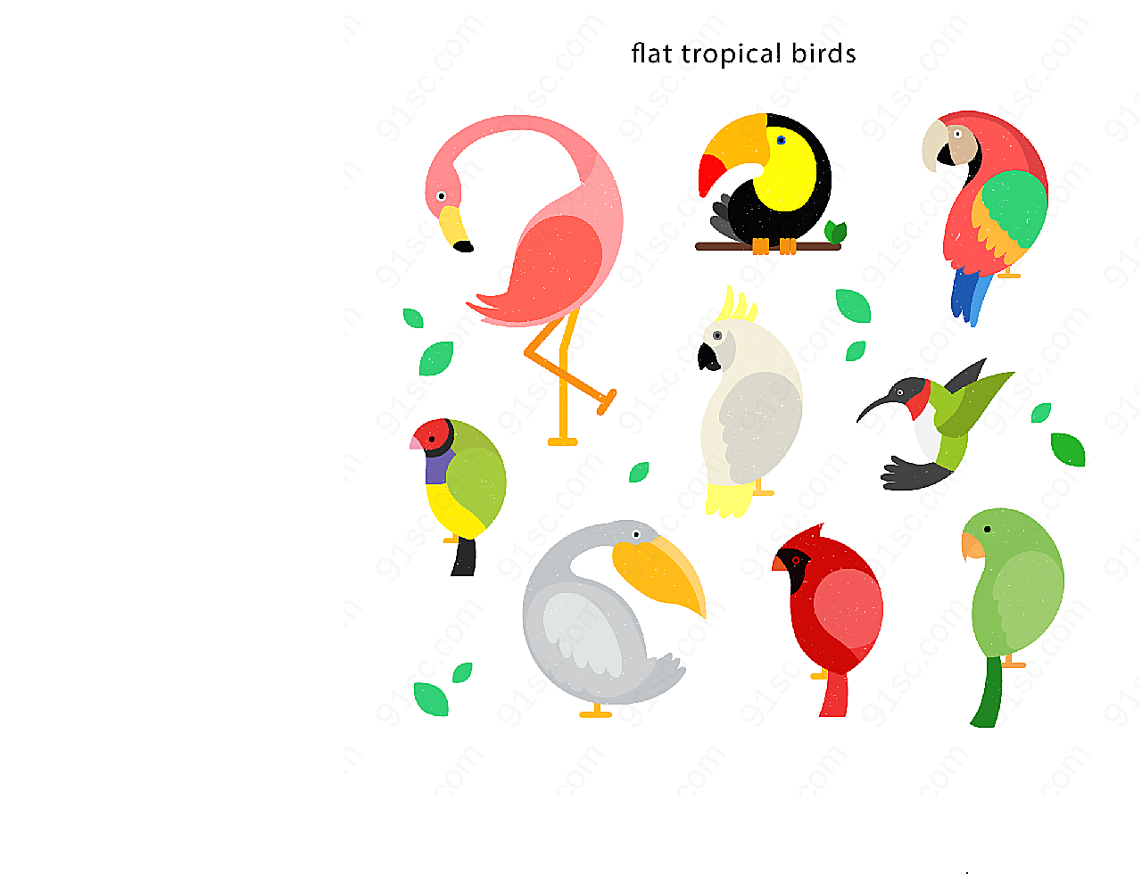彩色鸟类矢量矢量野生动物