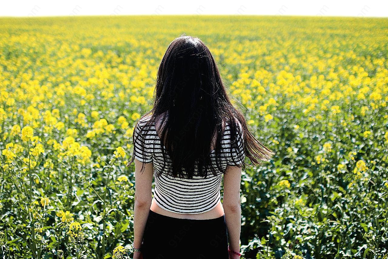 油菜花地美女背影图片人物