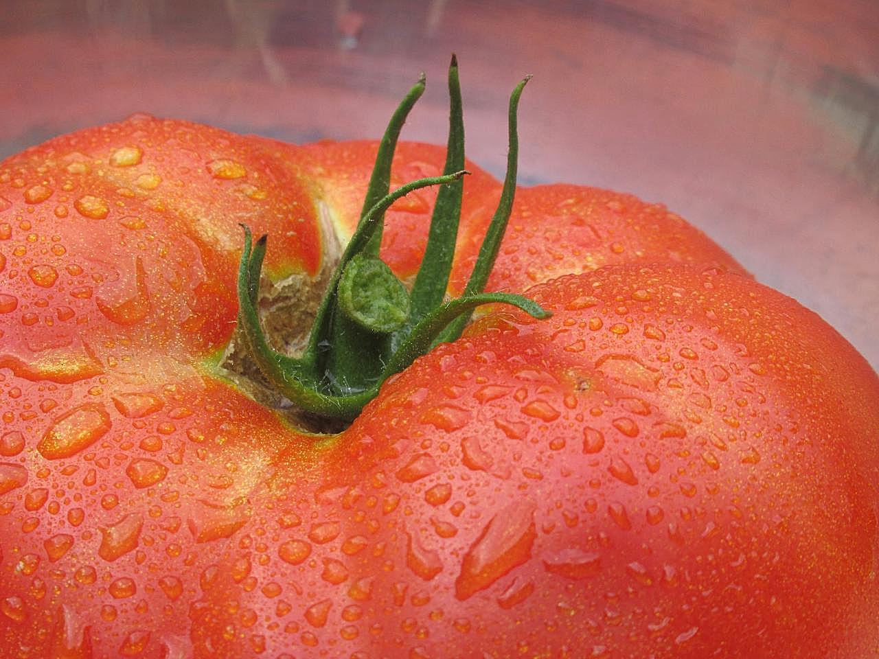 番茄近景特写图片蔬菜