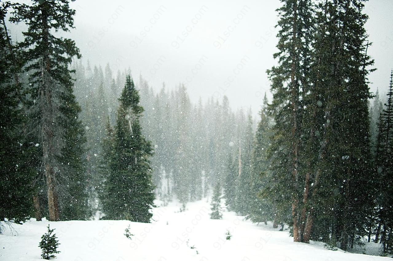 冬天下雪的图片摄影风景