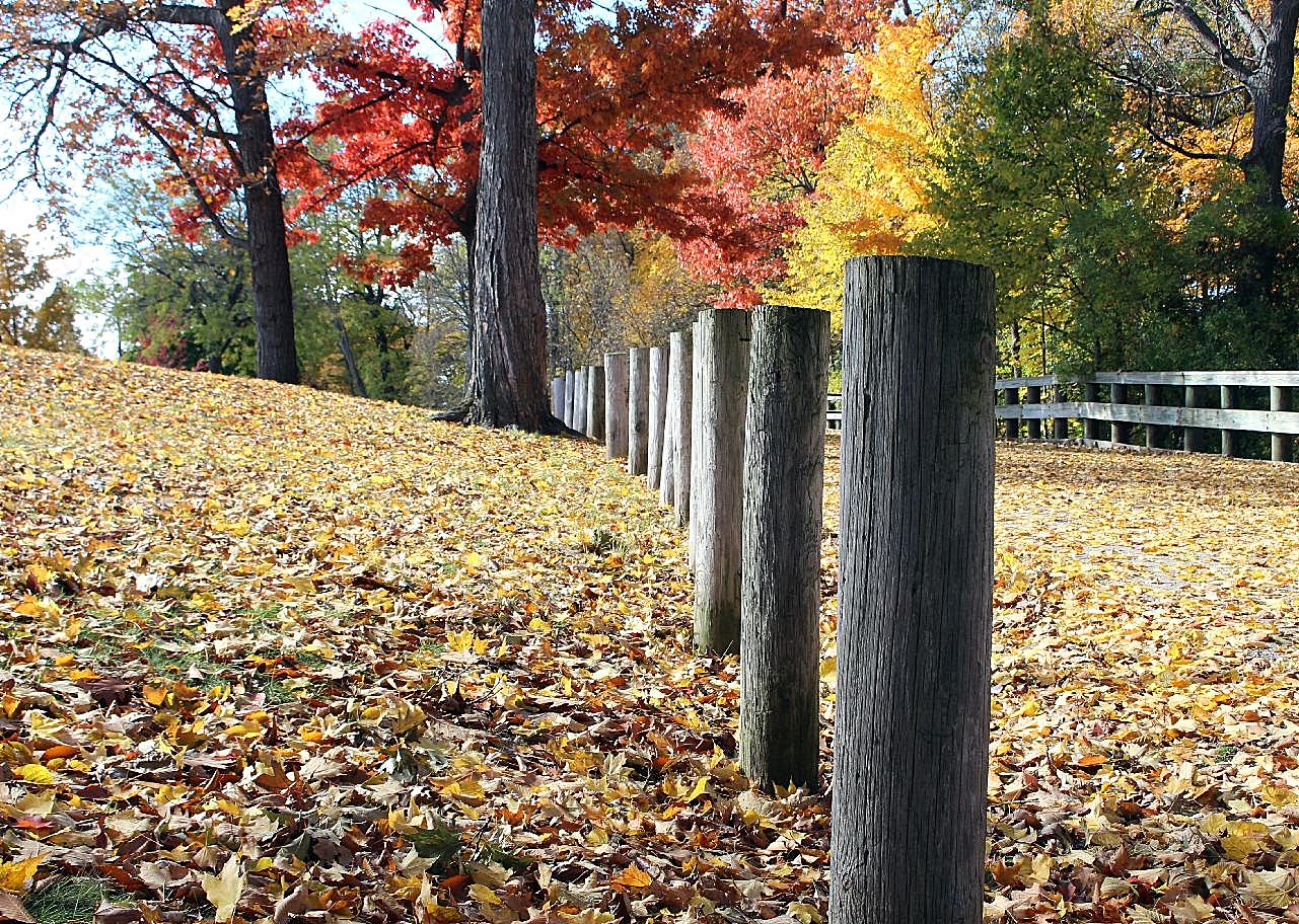 秋天公园风景图片景观