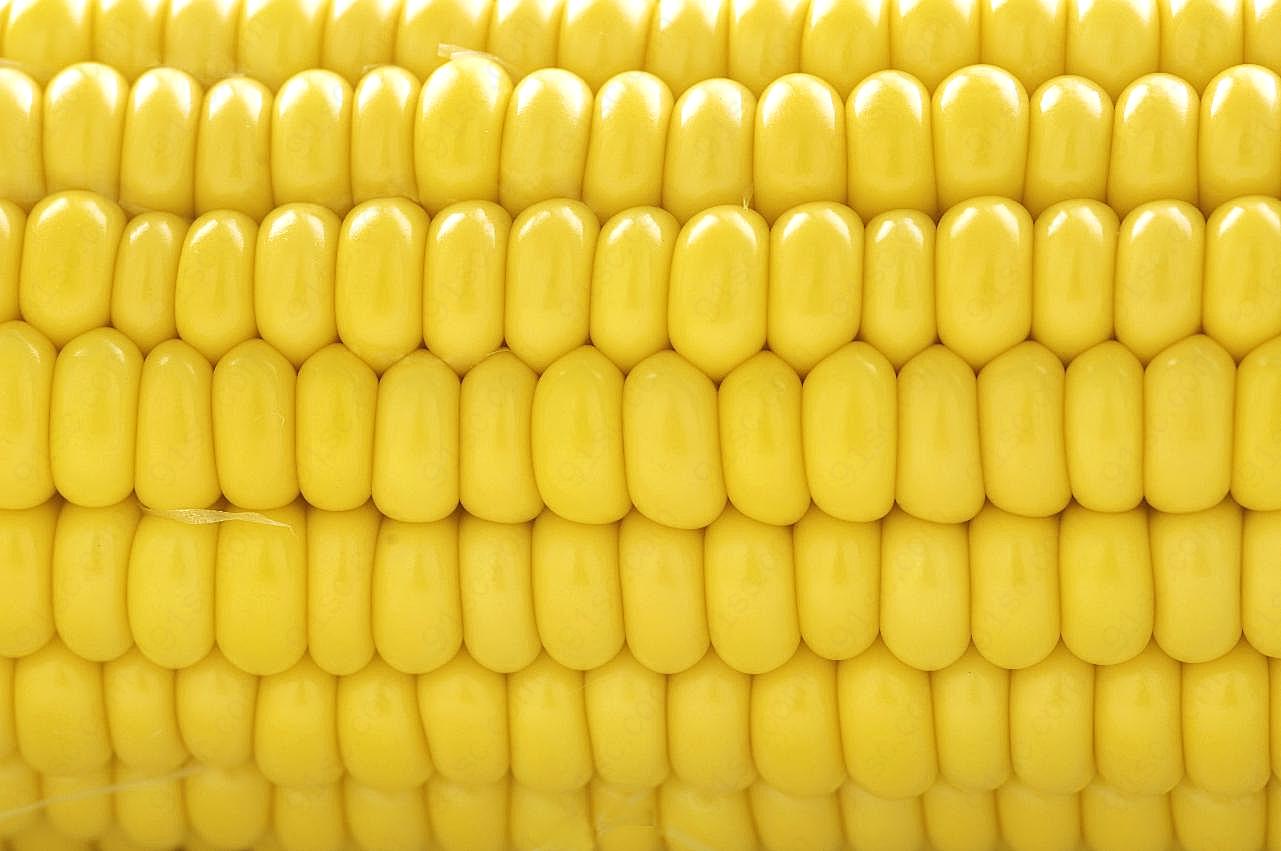 玉米背景图片食物背景