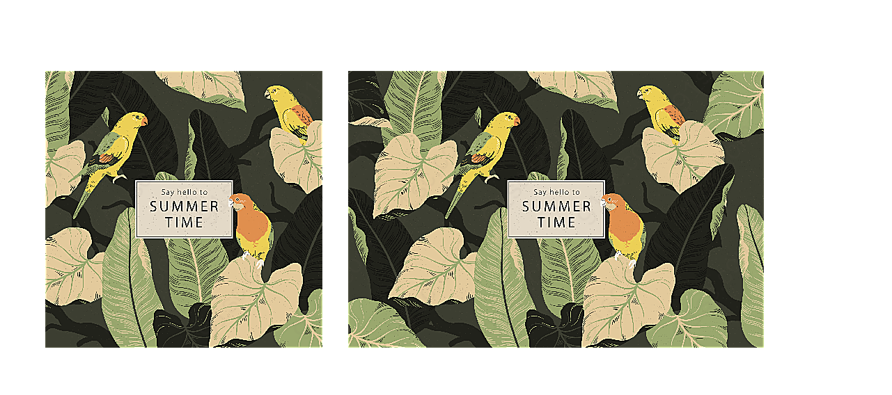 夏季鹦鹉和叶子矢量野生动物