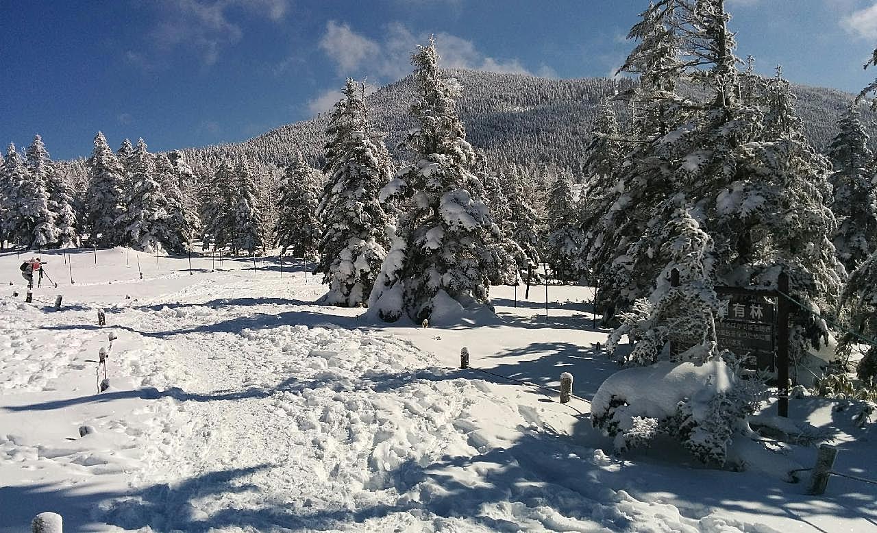 冬天高山雪地风景图片雪景