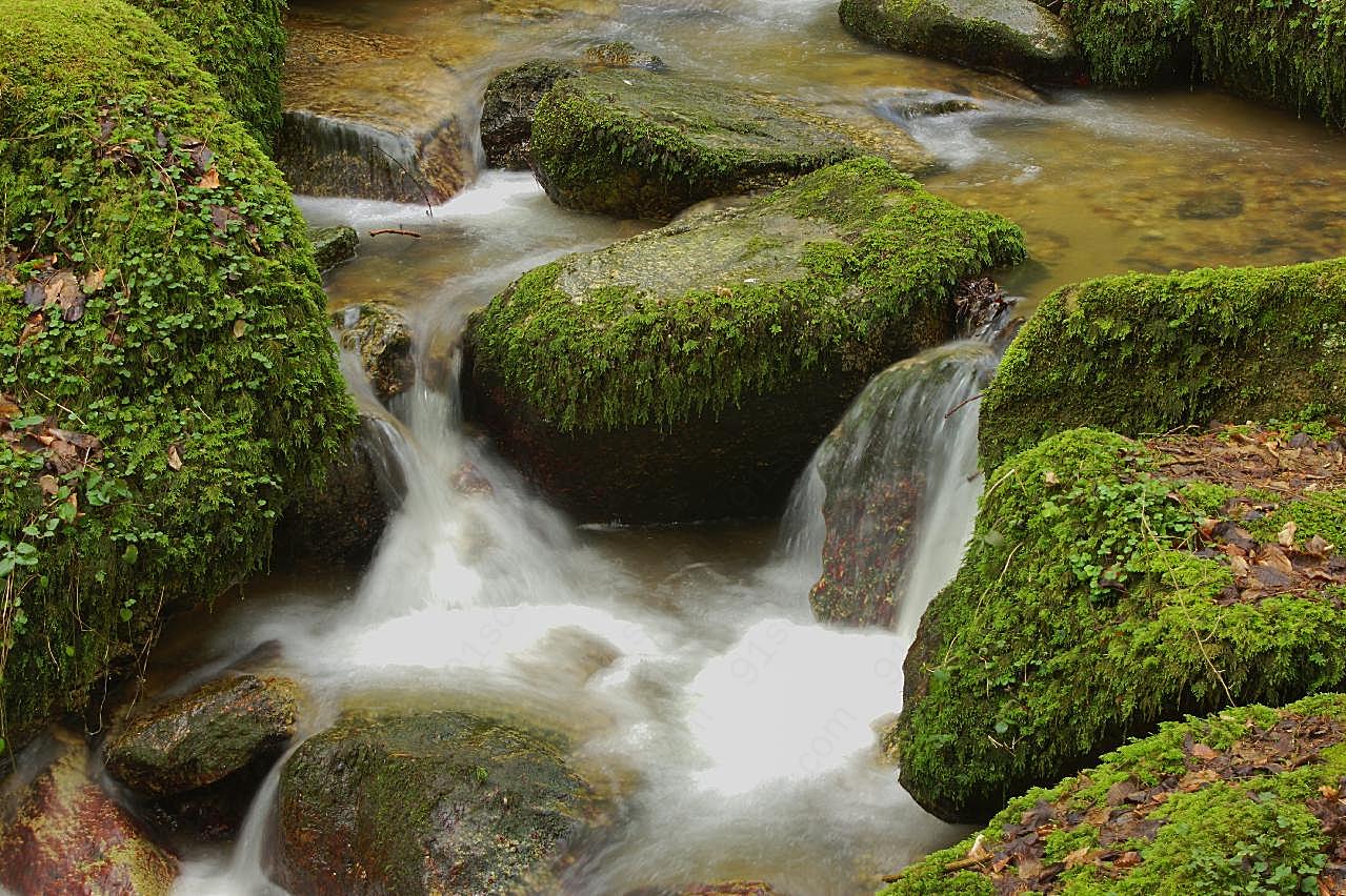 林间泉水风景图片自然