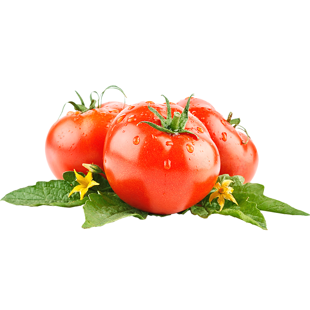 新鲜的西红柿蔬菜