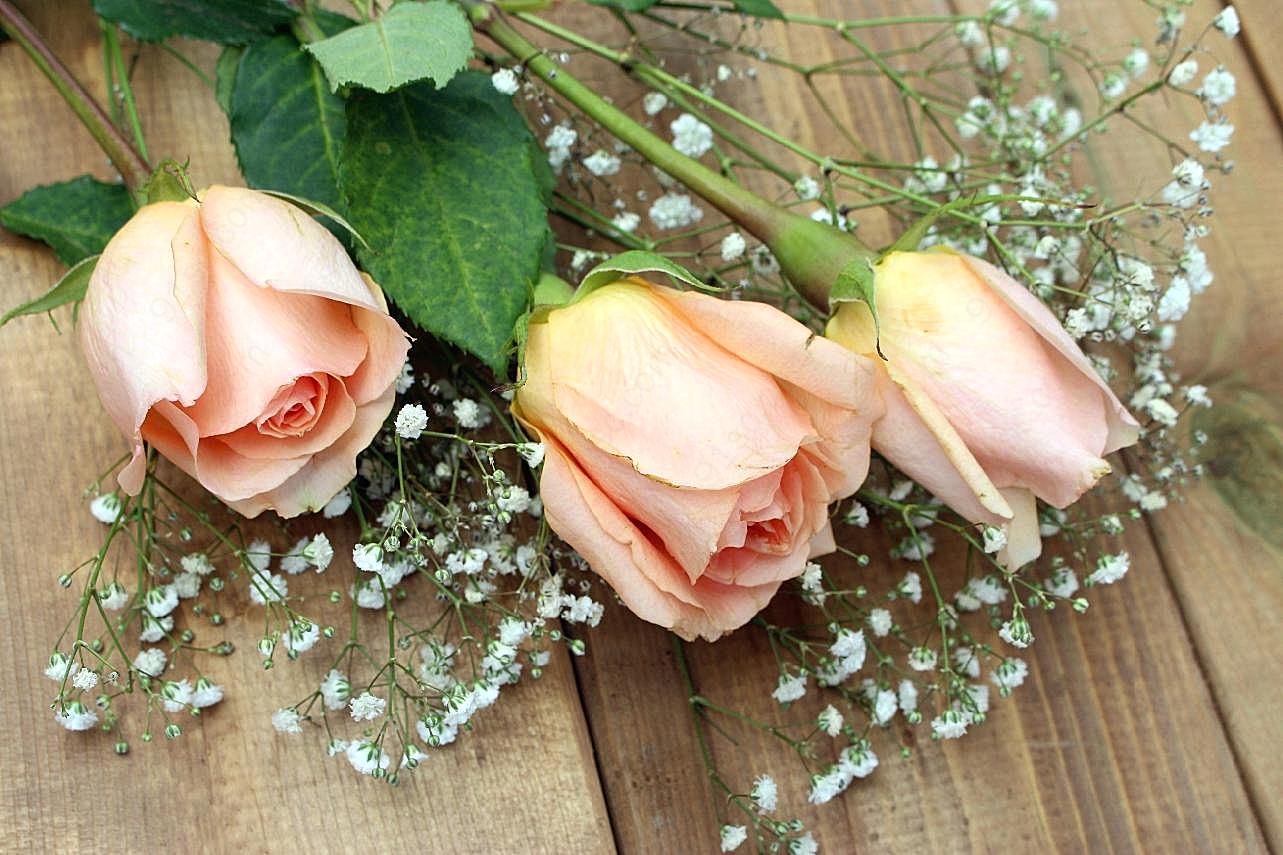三枝粉玫瑰图片玫瑰花