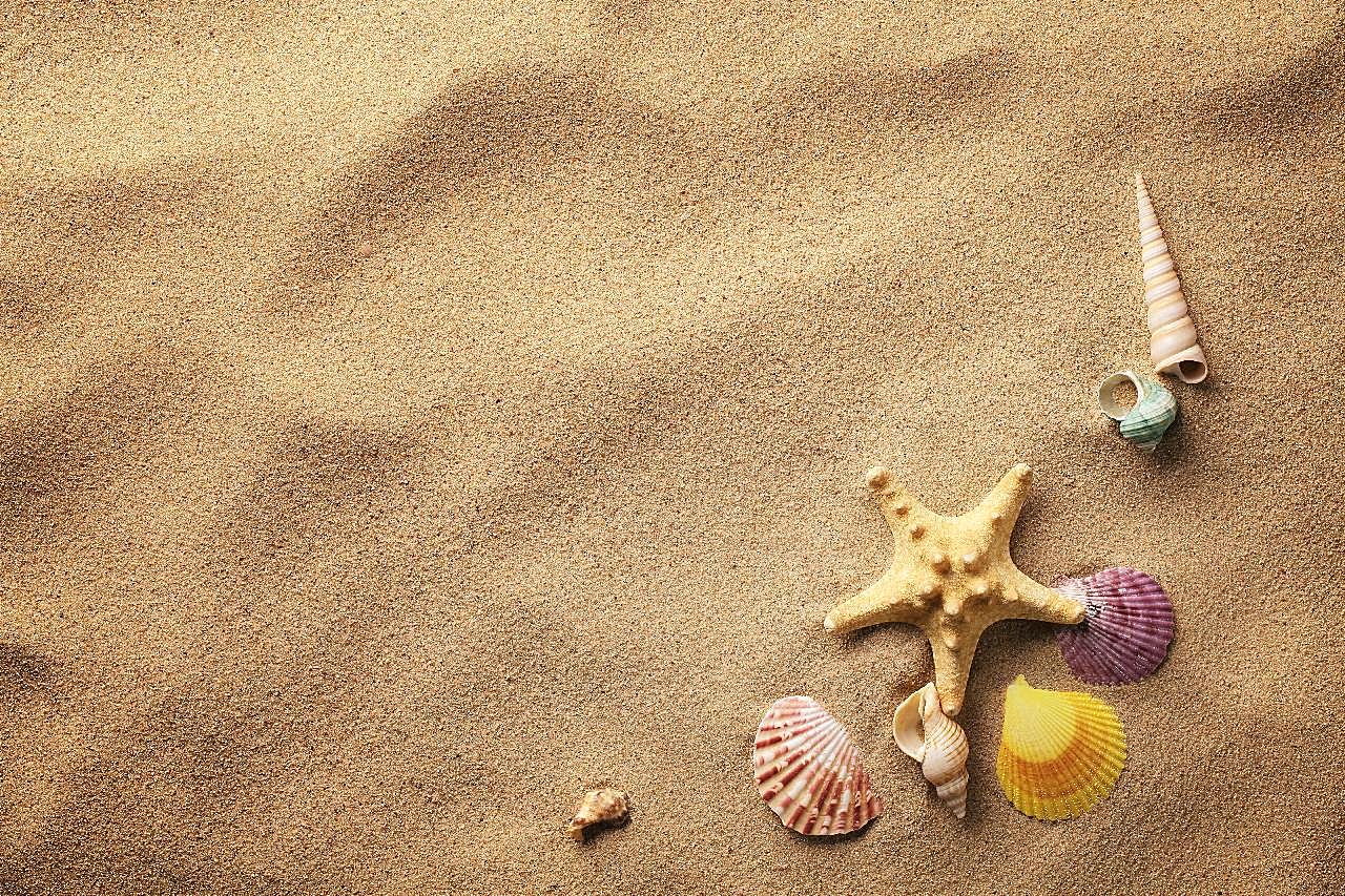 唯美沙滩海螺贝壳图片海岸沙滩