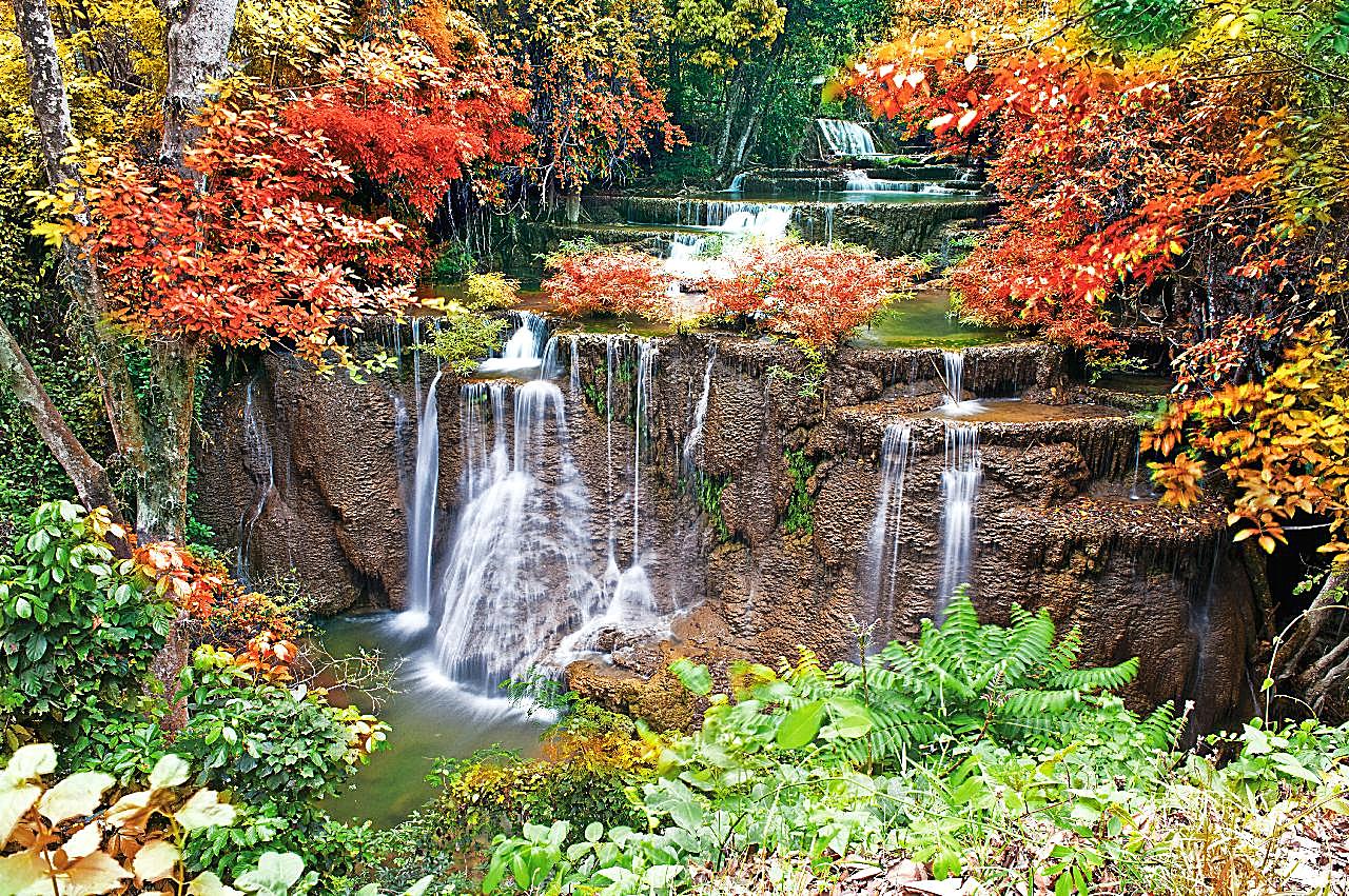 森林小河流水高清图片山水风景