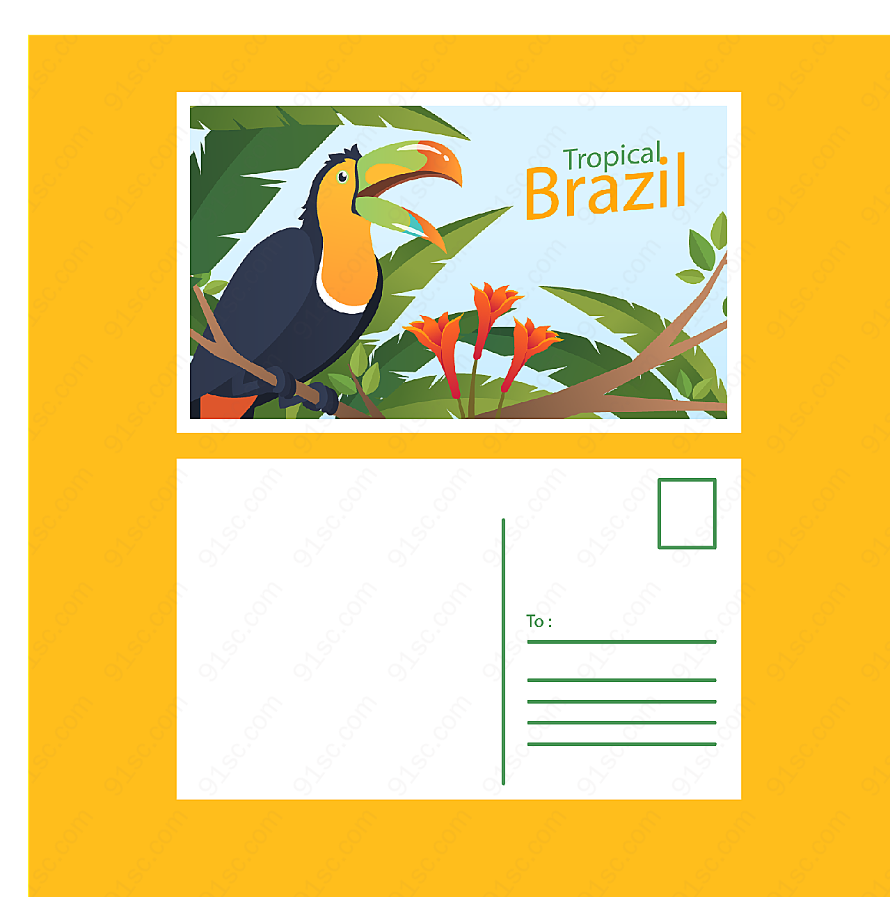 巴西巨嘴鸟明信片矢量名片卡片