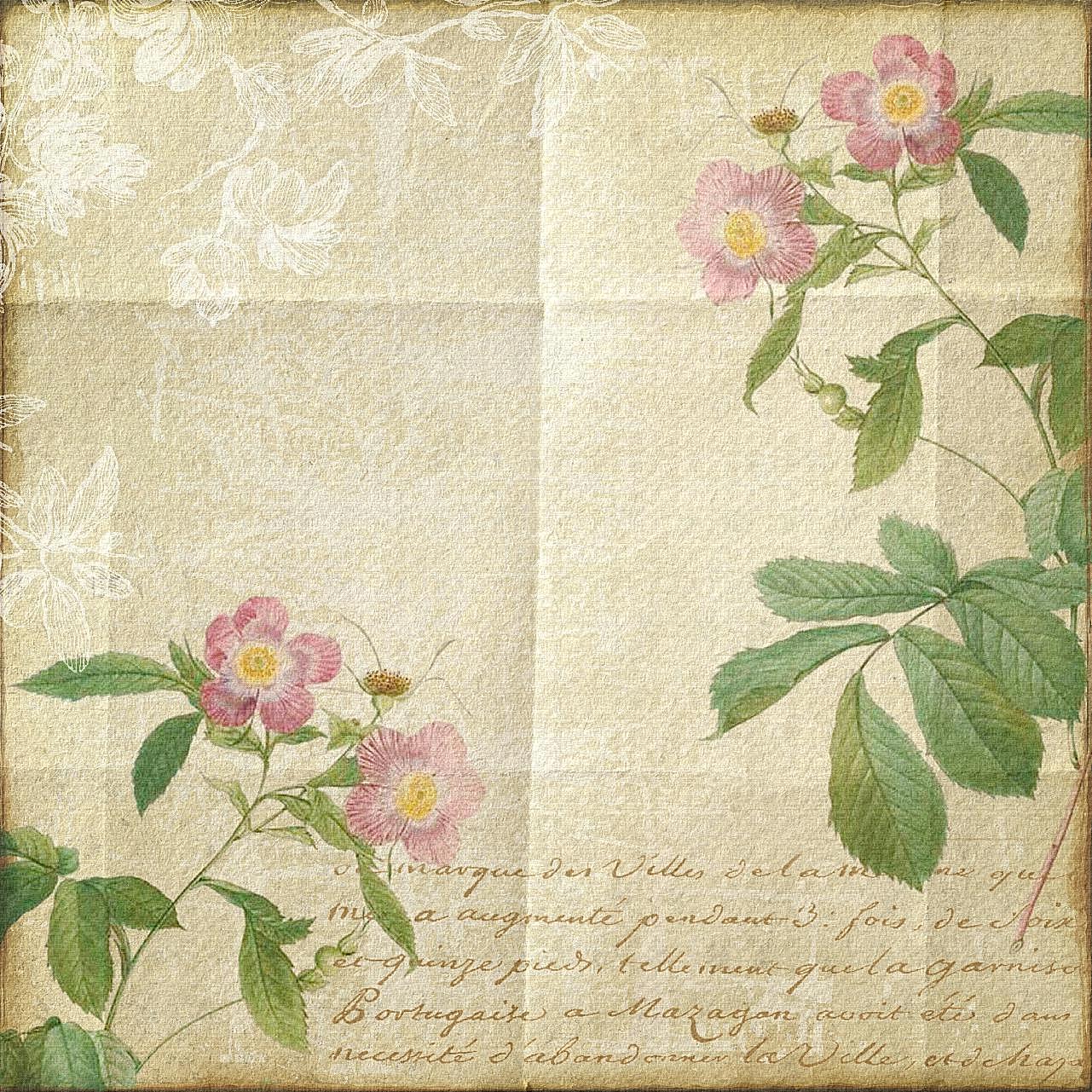 复古纸张花卉背景图片摄影