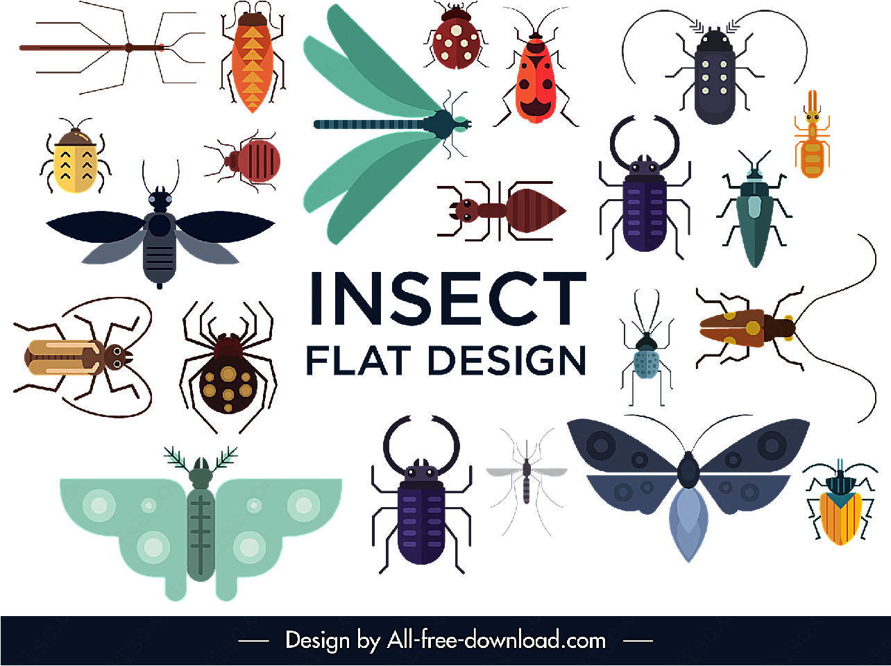 创意昆虫设计矢量昆虫