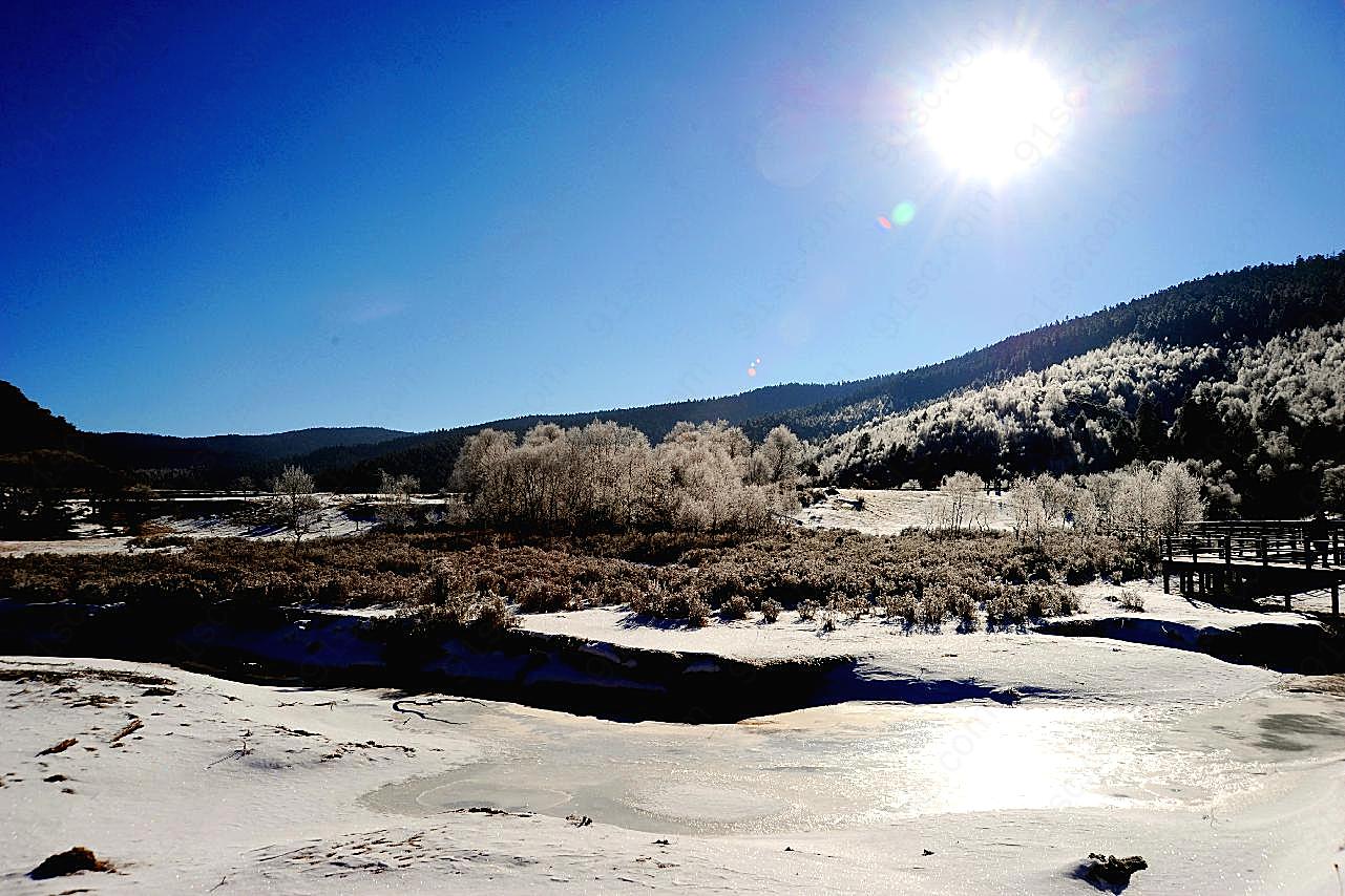 蓝天阳光树木雪地风景图片雪景