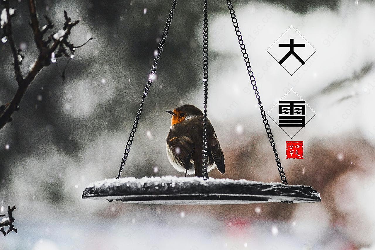 廿四节气大雪图片高清摄影