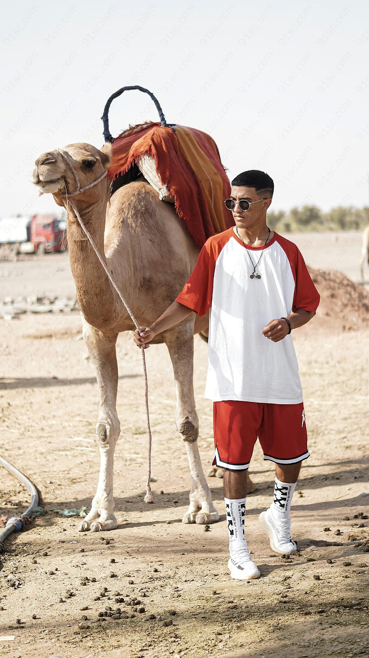 牵着骆驼的男人图片人物摄影
