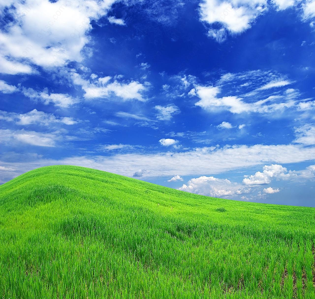 草地天空风景图片下载草原