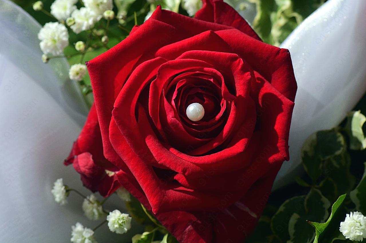 婚礼浪漫红玫瑰图片高清摄影