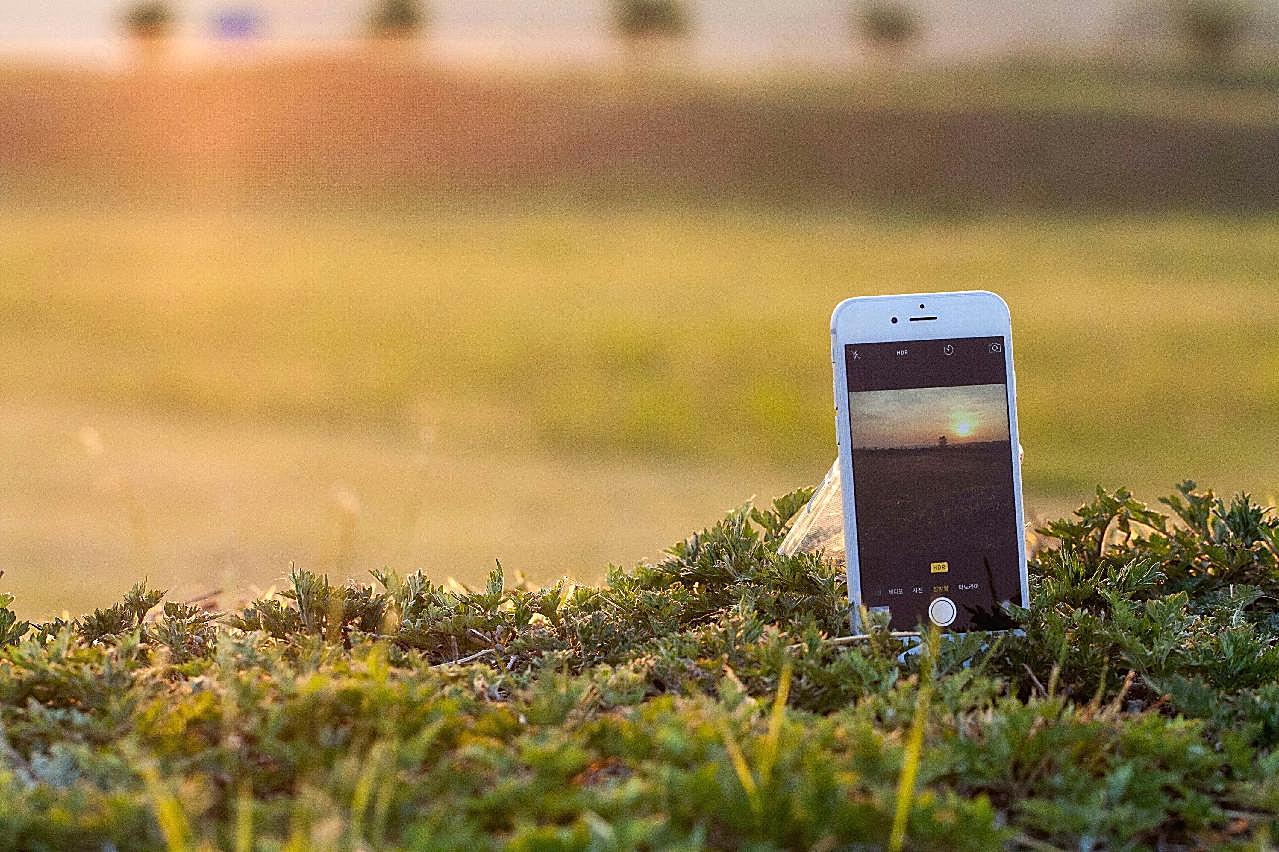 草地上的拍照手机图片摄影