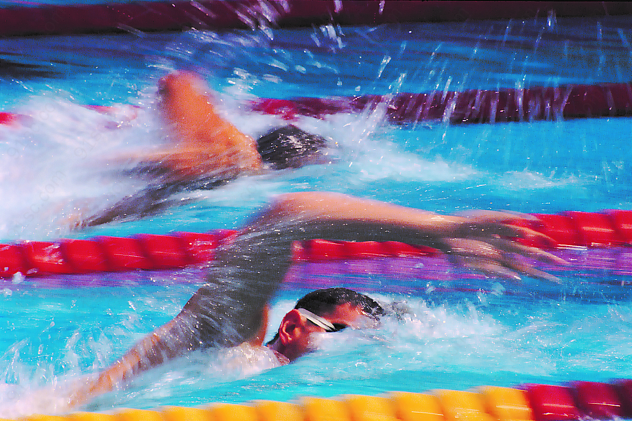 游泳竞技高清图片下载竞技英姿