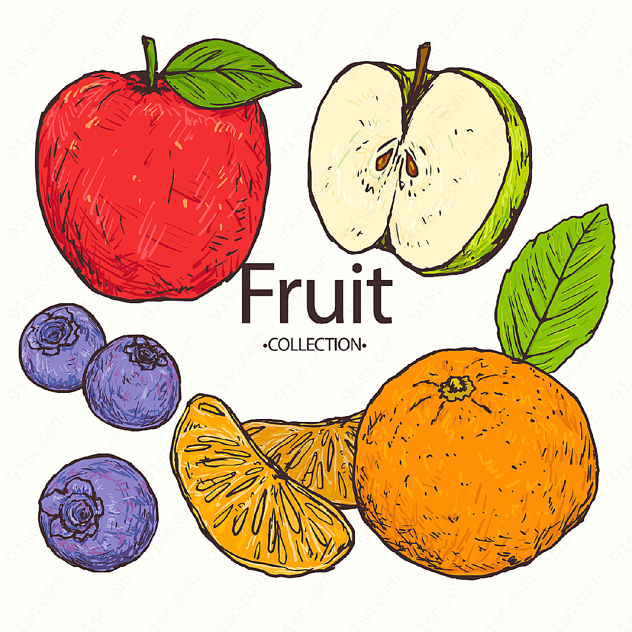 手绘彩色水果矢量水果