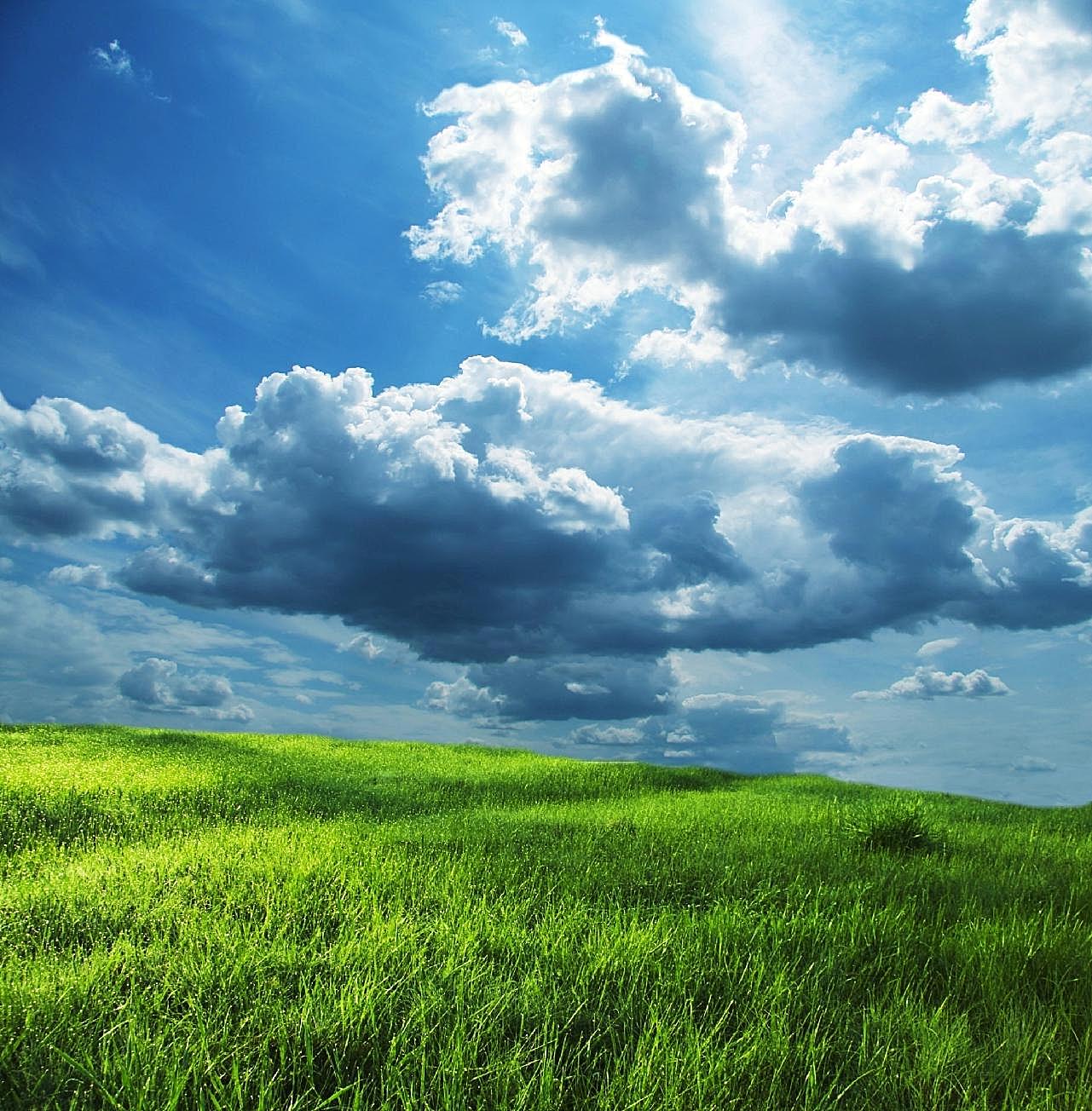 草地蓝天白云自然景观