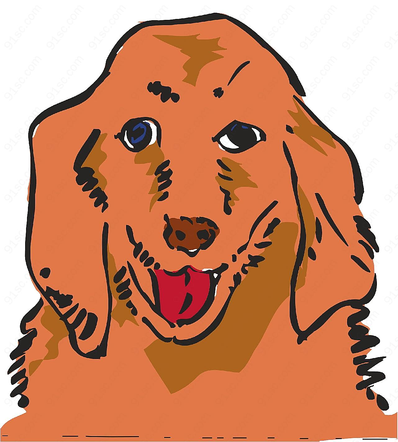 卡通金毛犬图片摄影