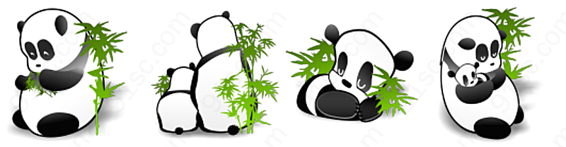 可爱熊猫动物植物
