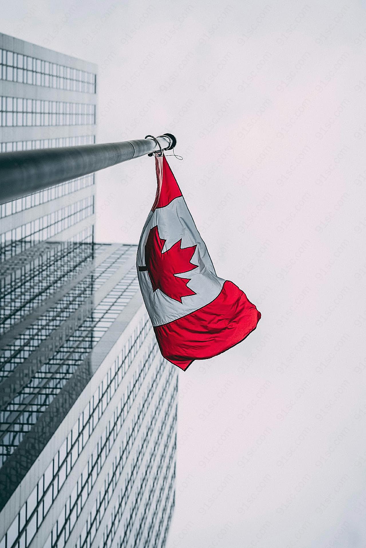 加拿大国旗飘扬图片摄影