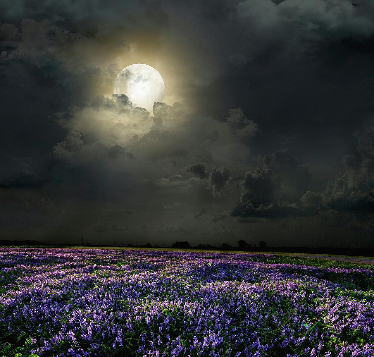 夜晚乌云月亮与图片摄影高清