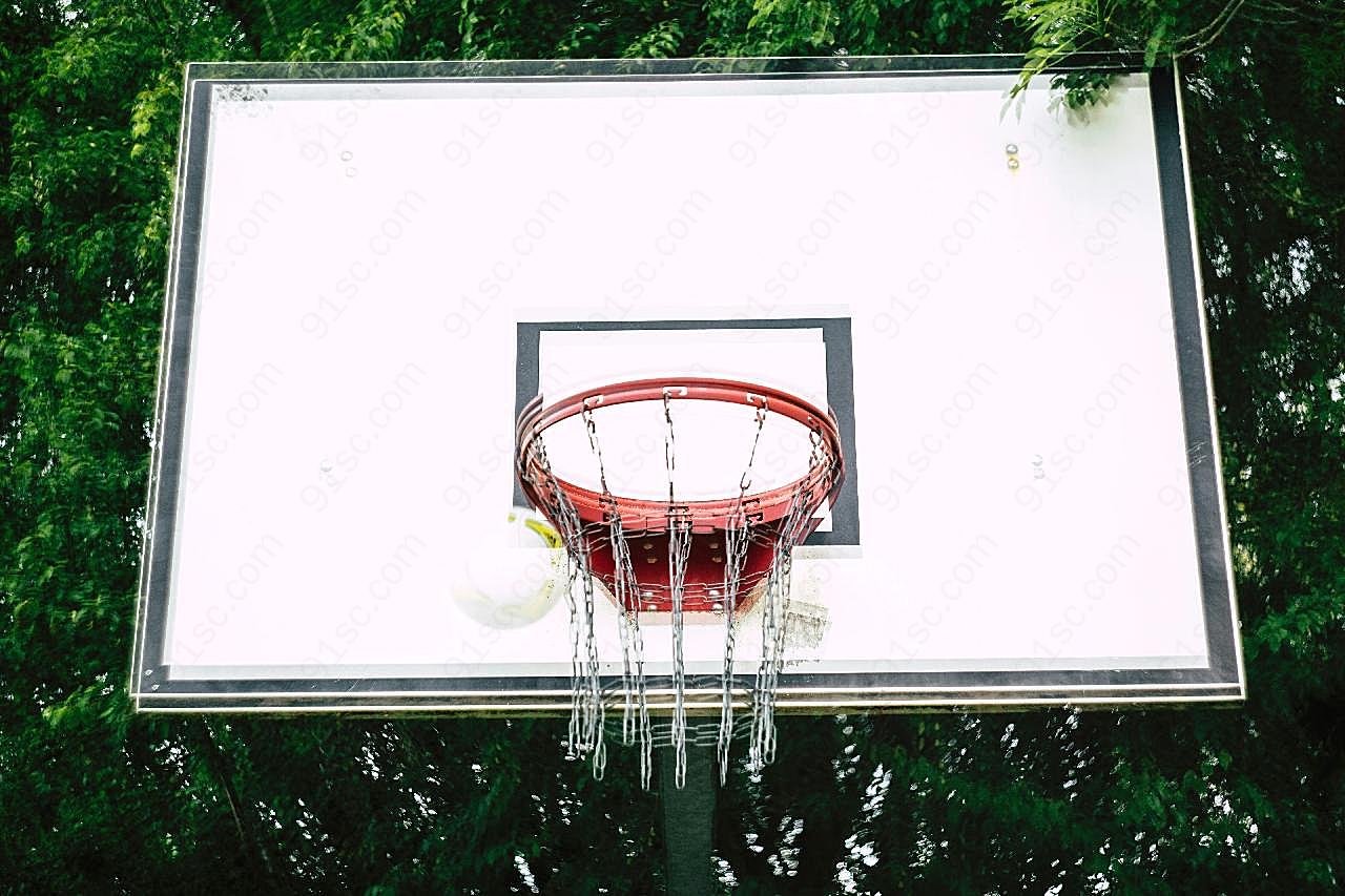 成人标准篮球框图片体育用品