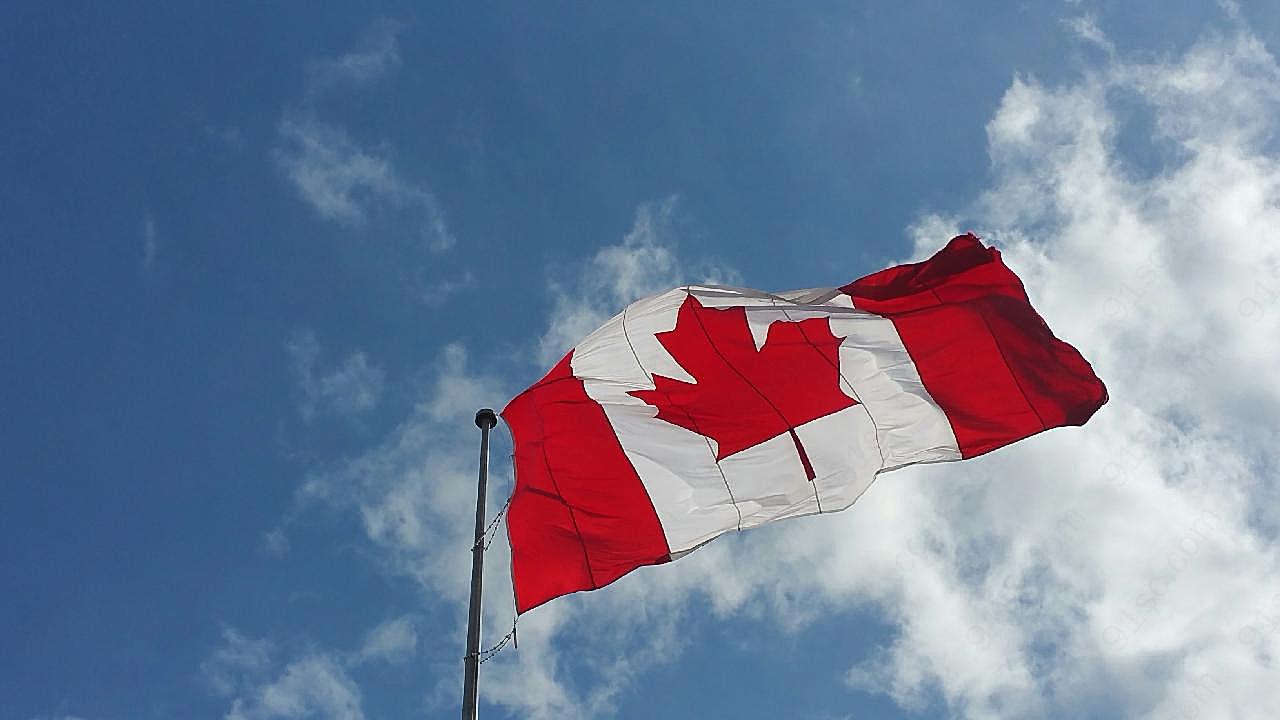 加拿大旗帜飘扬图片摄影