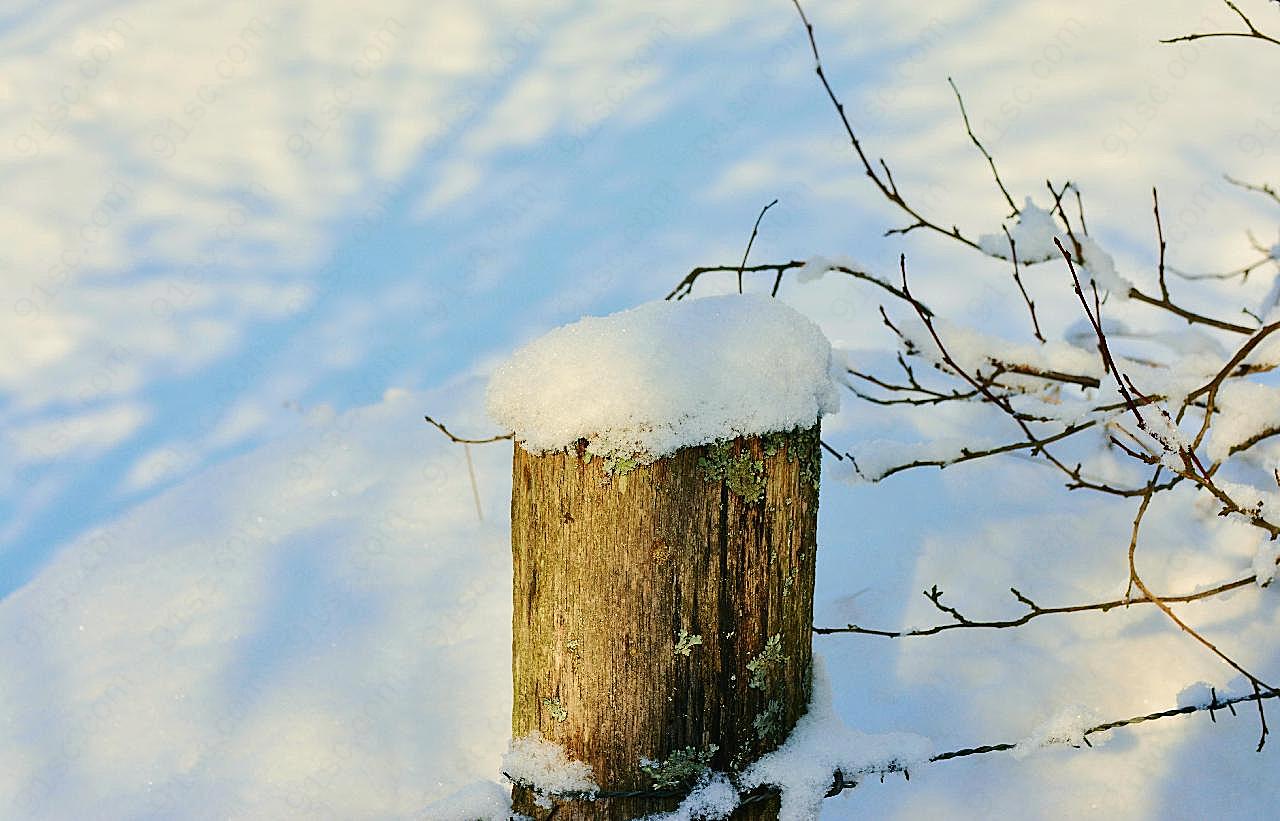 冬日雪地木桩图片高清