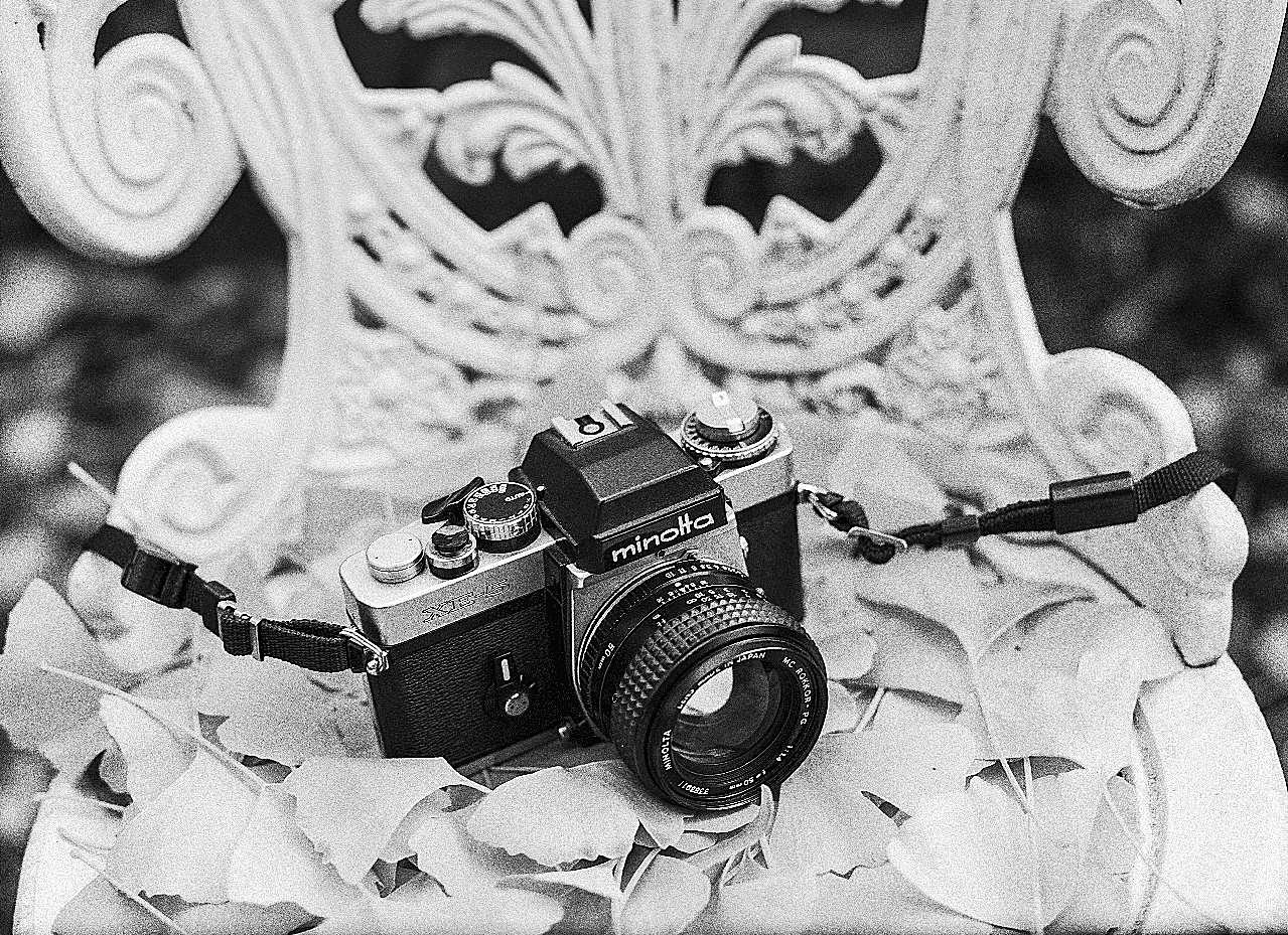 数码相机黑白图片科技现代