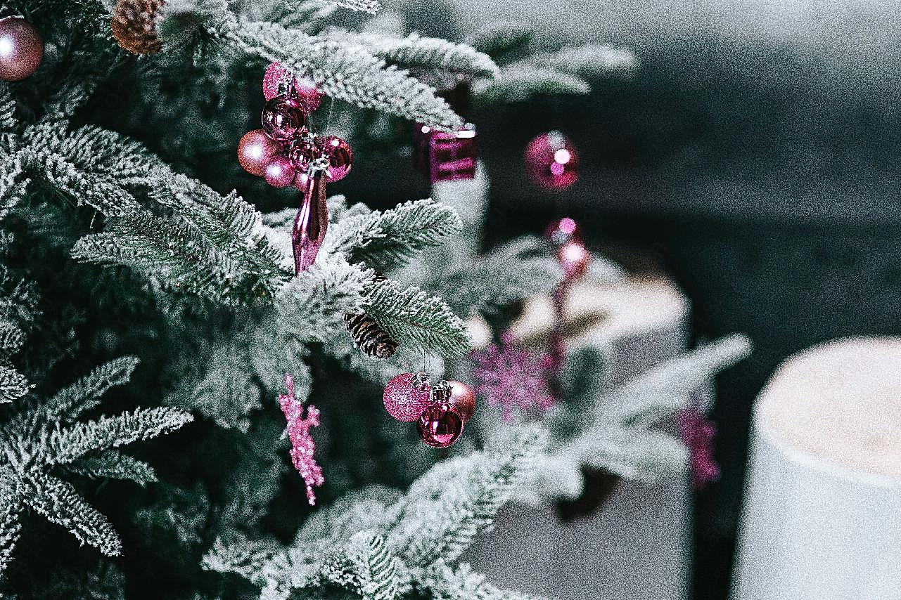 圣诞树装饰高清摄影