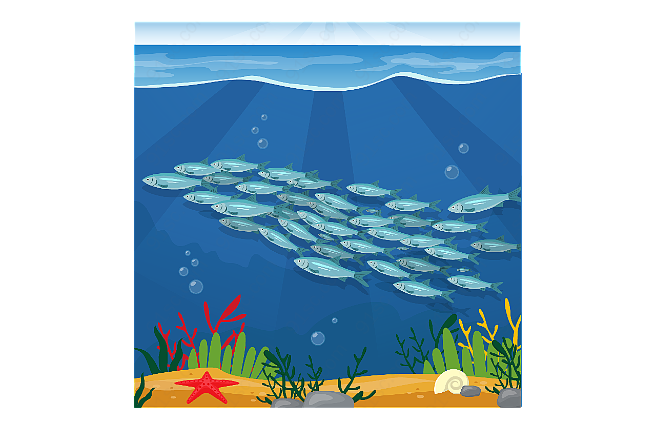美丽海底银色鱼群水中生物