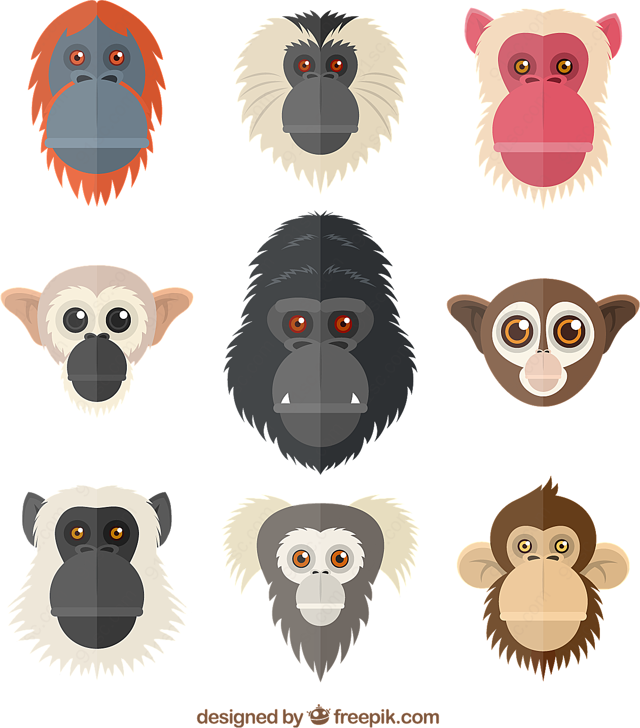 猴子和猩猩头像矢量卡通动物