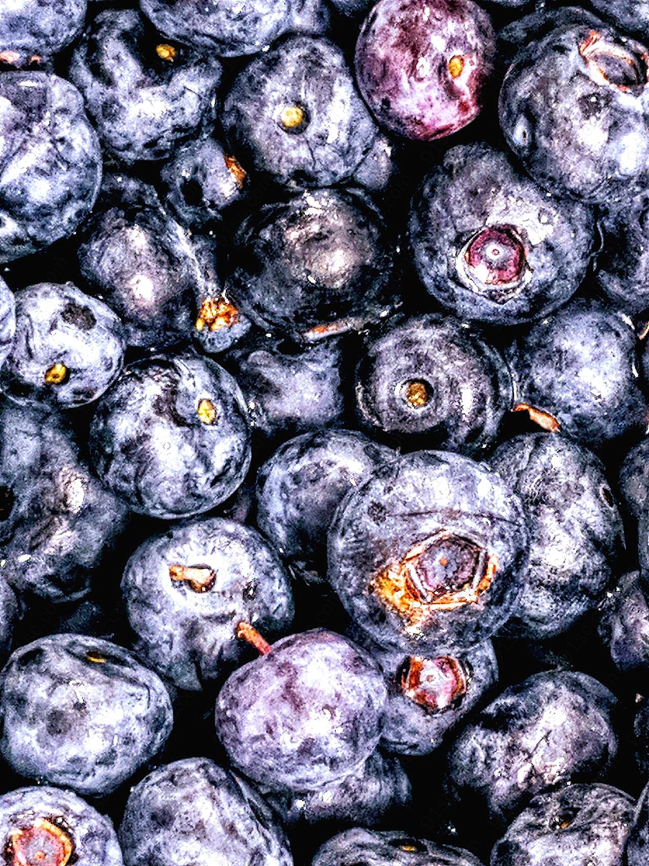 新鲜蓝莓果子图片摄影