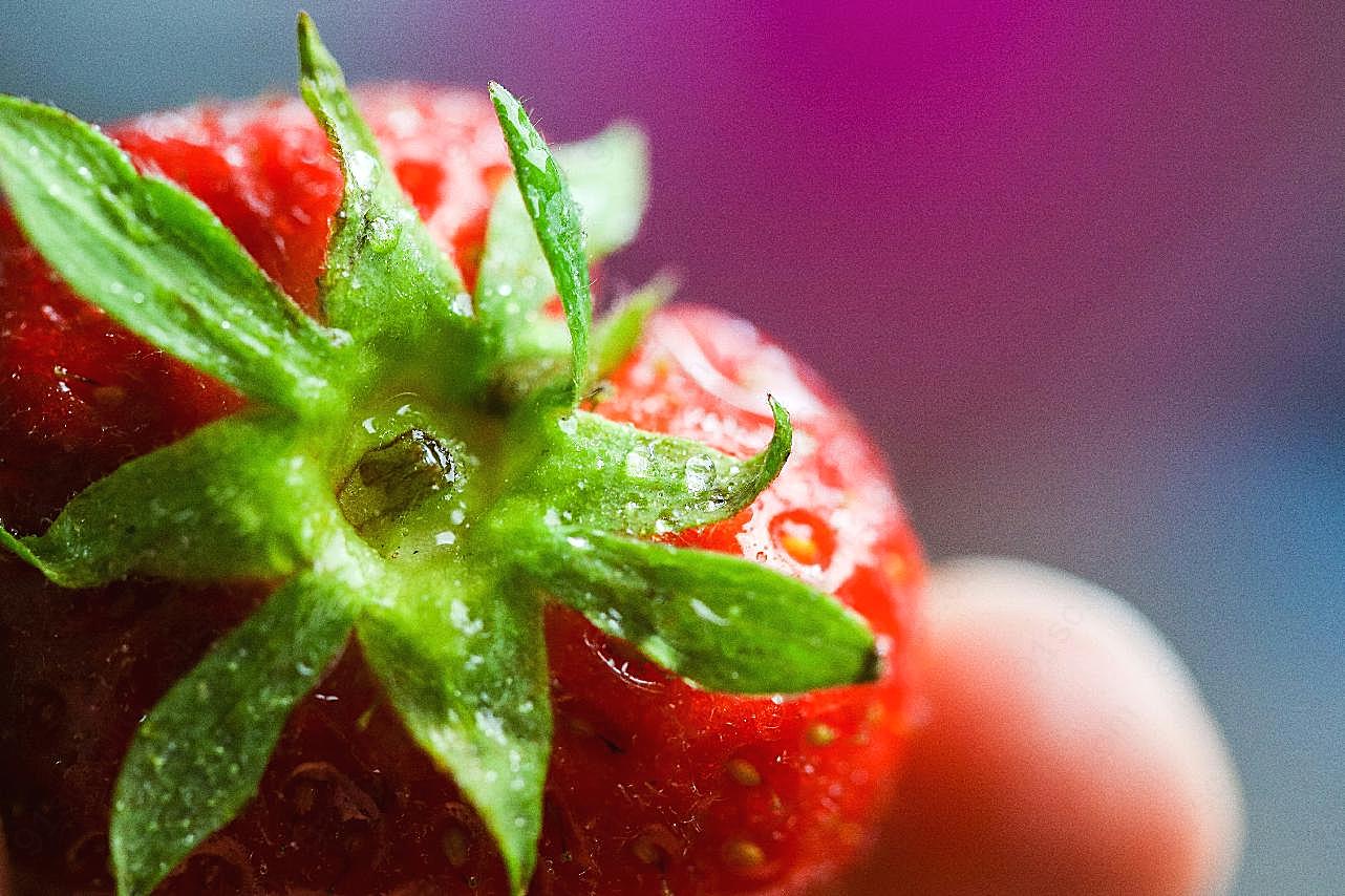 草莓微距图片水果