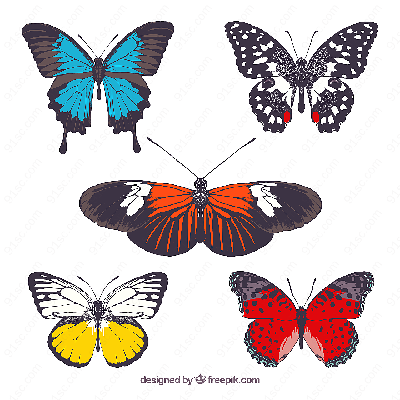 蝴蝶设计矢量矢量昆虫