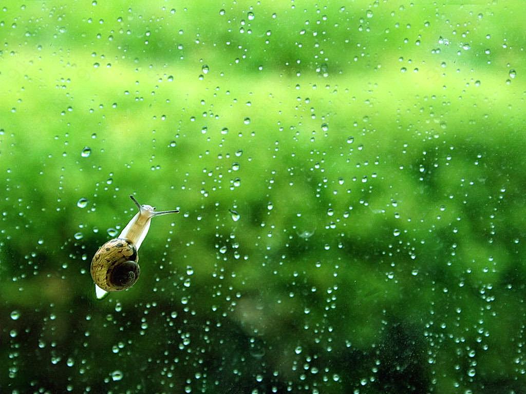 雨唯美伤感意境图片高清摄影