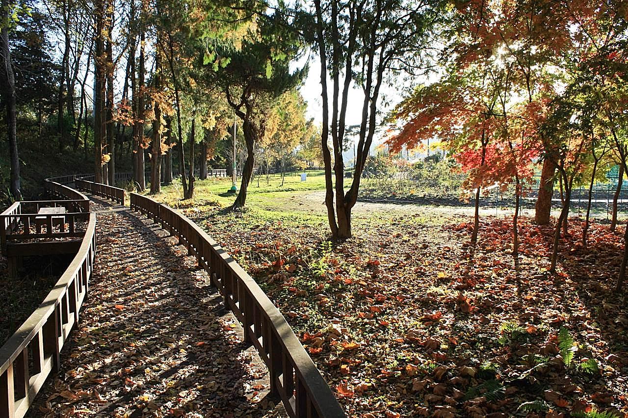 秋天公园图片景观