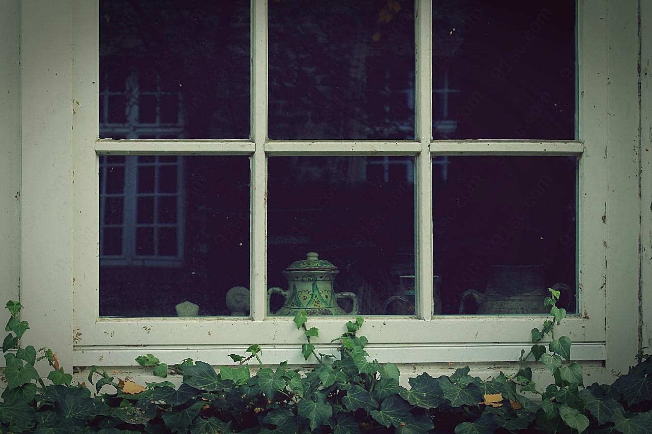 窗台绿植图片高清