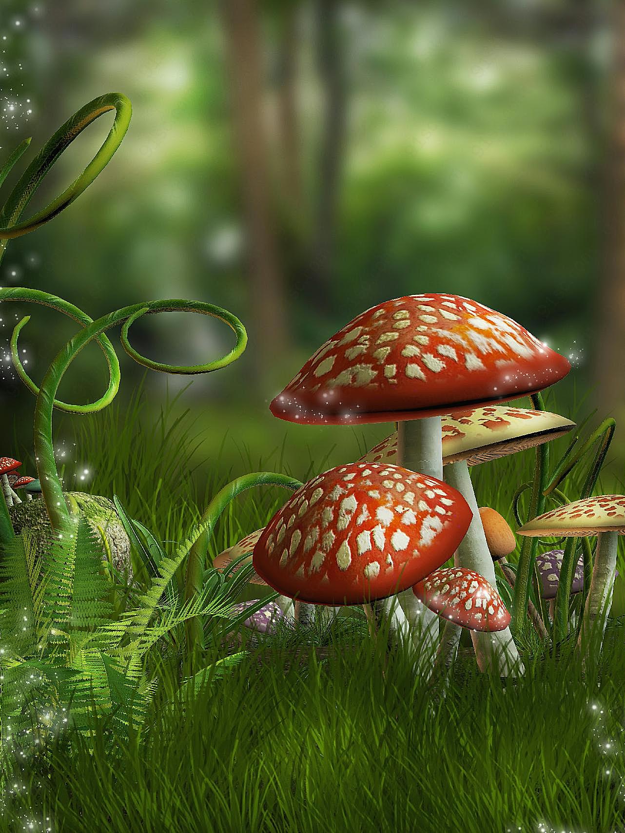 高清森林蘑菇图片下载景观摄影